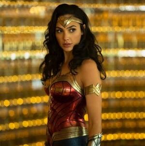 Ultimate Wonder Woman Fan Bundle *Please See Description*